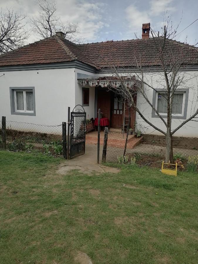 Etno Kuca Badejevic Villa Plavna Ngoại thất bức ảnh